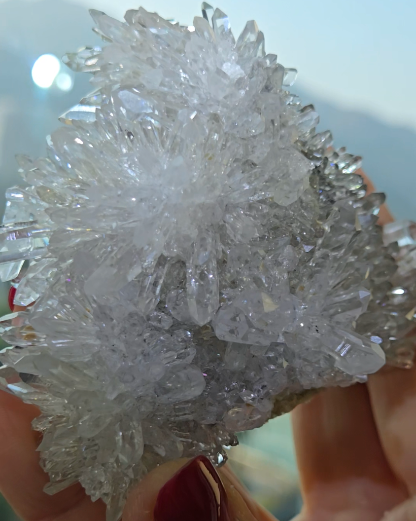 Chrysanthemum needle quartz with flower buds - CQ477