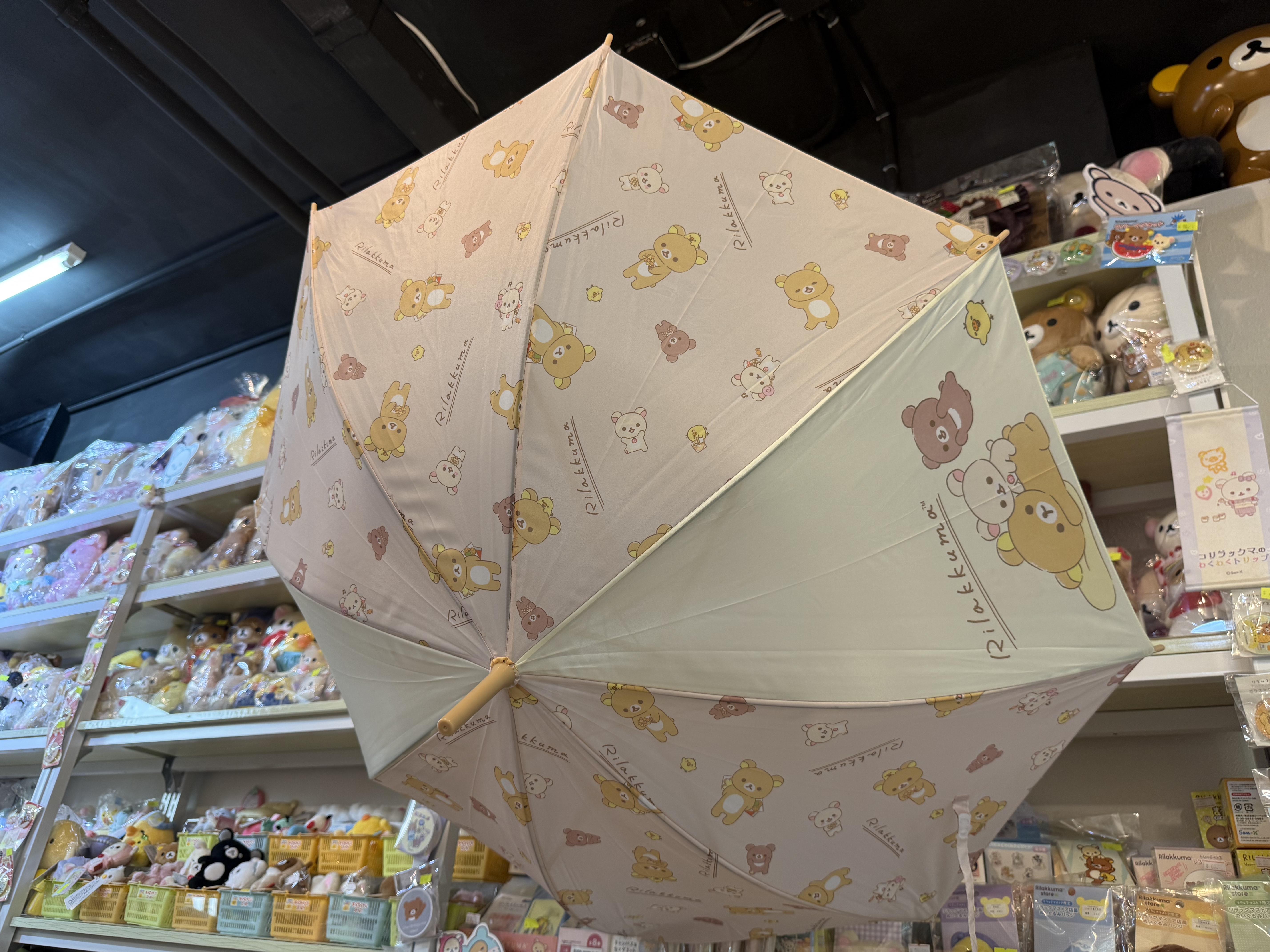 《現貨》RILAKKUMA 和你在一起系列長遮 現貨再上架！