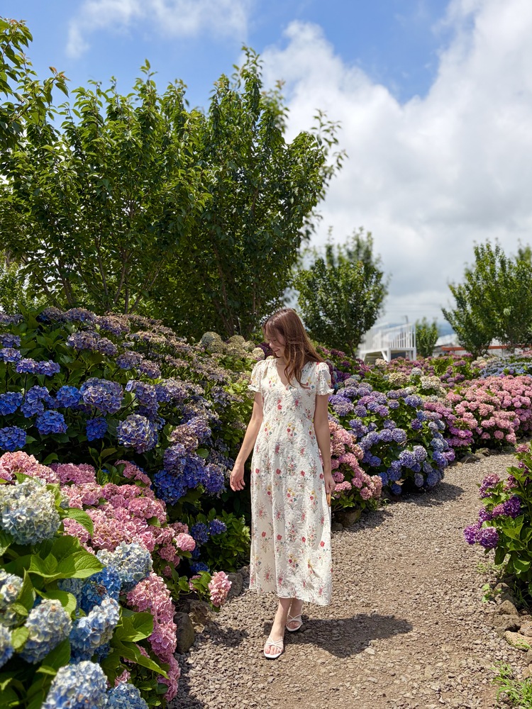 Premium Embroidered Floral Dress