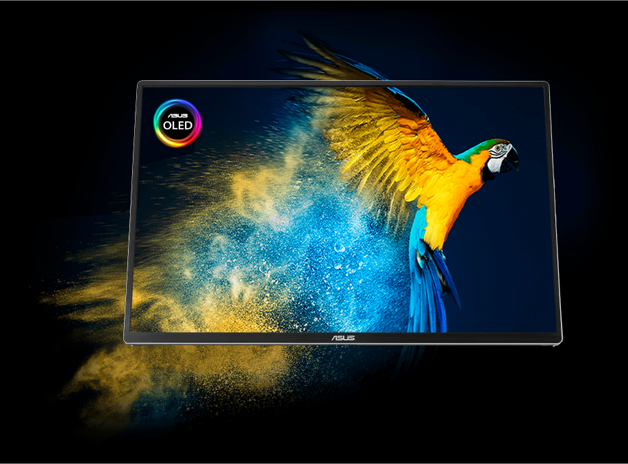 ASUS ZenScreen OLED MQ16FC
