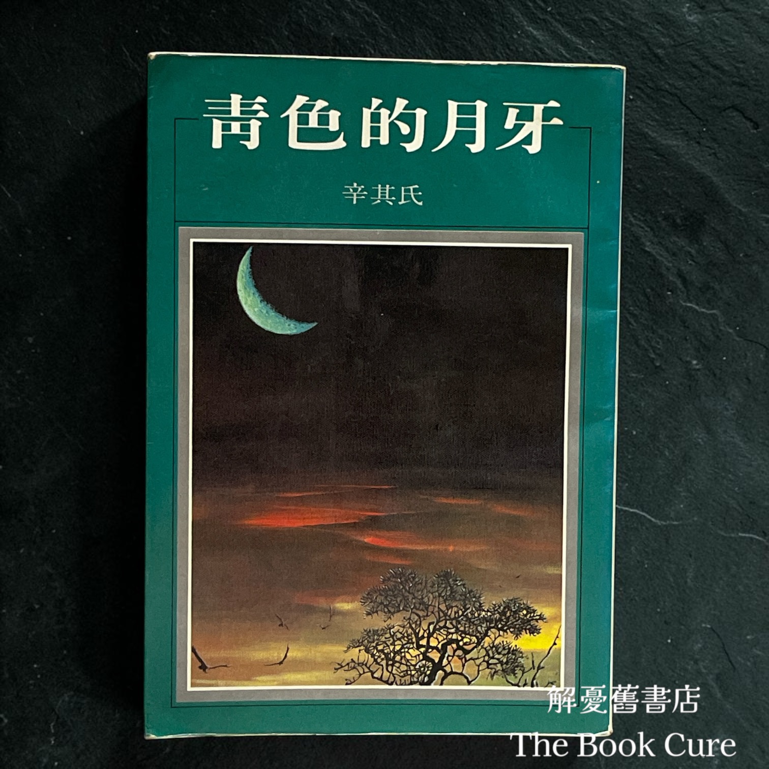 青色的月牙 / 辛其氏 著