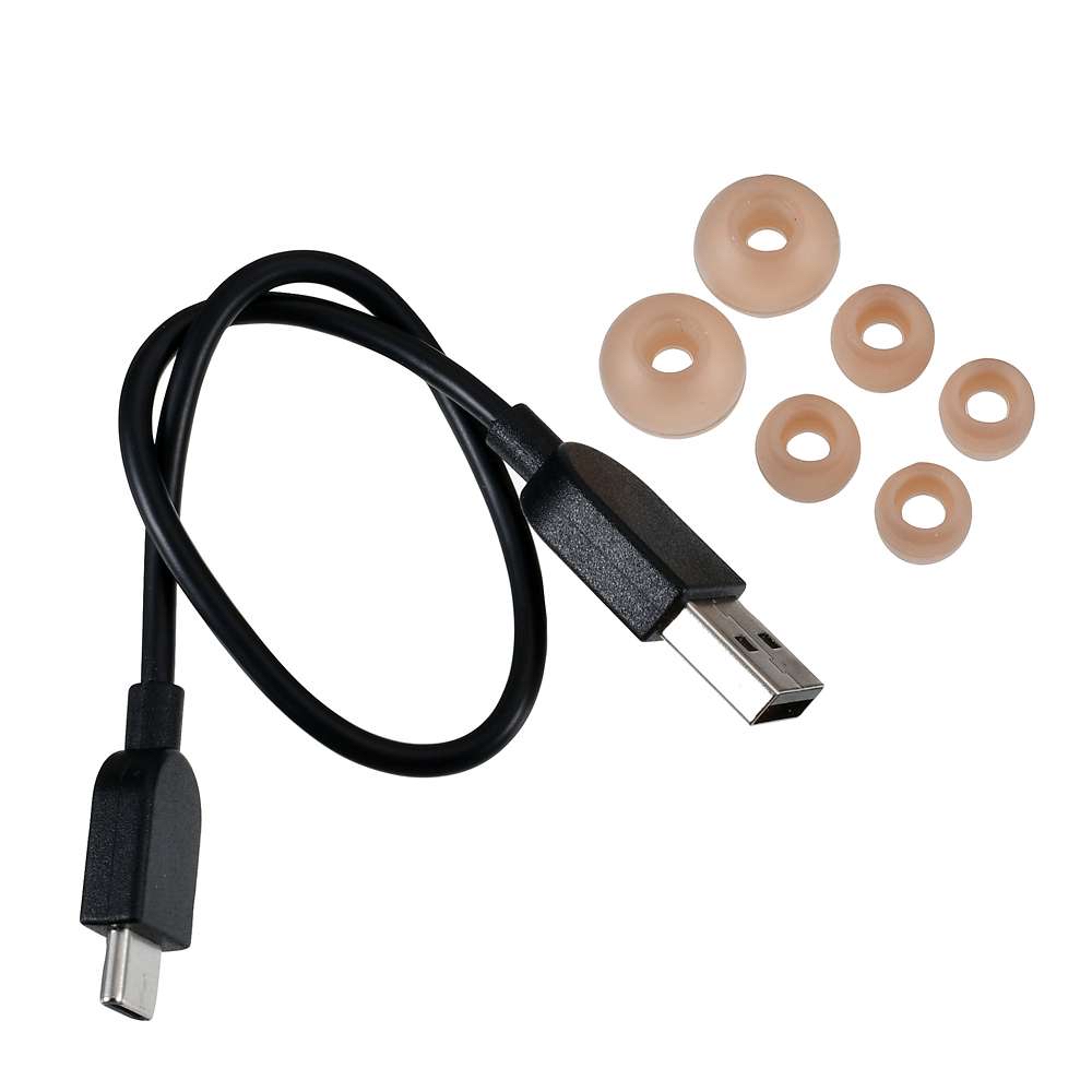 🎀【預訂】Disney x Victor Wireless Stereo Headset - Chip & Dale