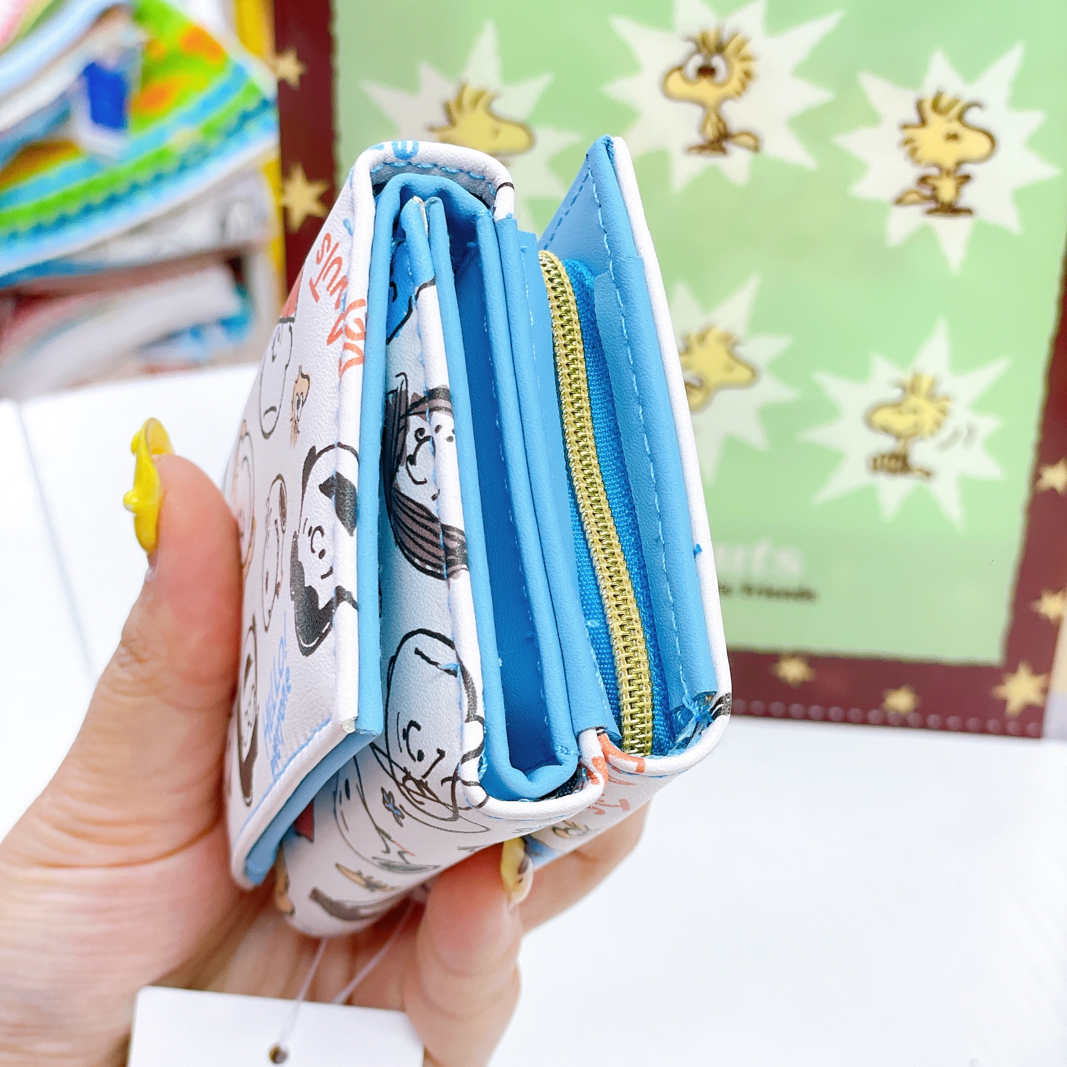 日本直送Snoopy Woodstock 新款文具系列眼鏡盒卡套File拉鏈袋環保袋