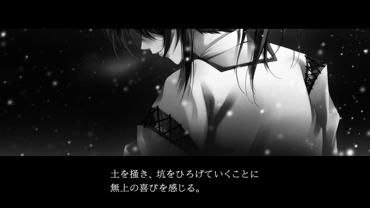 NS 卡爾特格拉：靈魂的傷痕【限定特裝版】CARTAGRA: The Sickness of Possessory and Crazy【Limited Edition】中/英/日文 (日文封面) NSW-3817