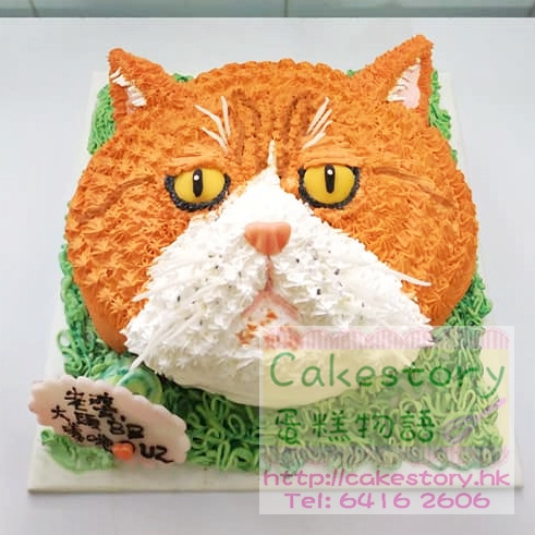 N127. 貓貓蛋糕