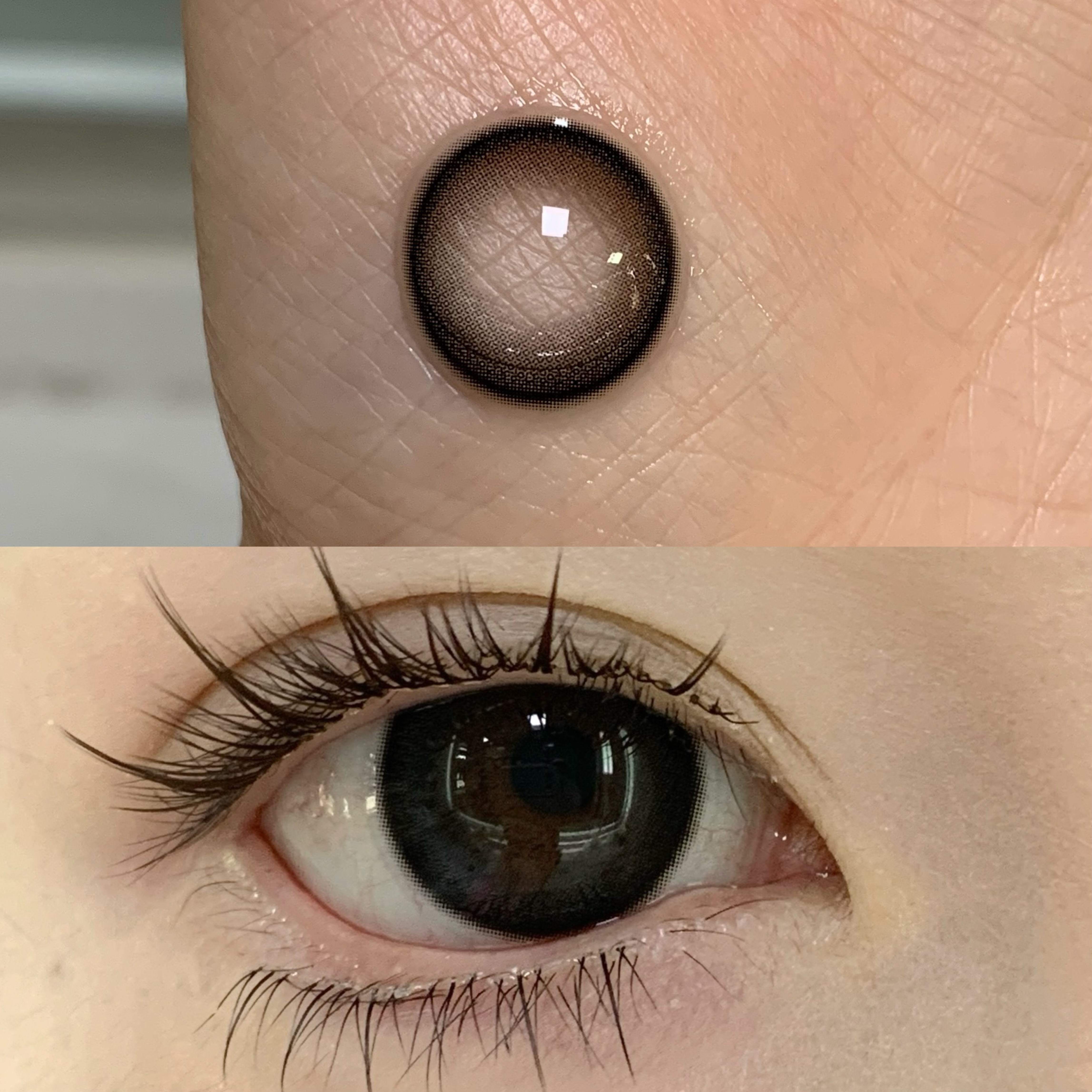 Serltyca 半年拋 日常自然款