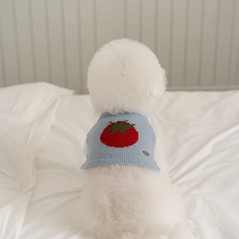 Bite Me🇰🇷SSFW Tiny Garden Knit Bib 針織小花園口袋背心 (3色)