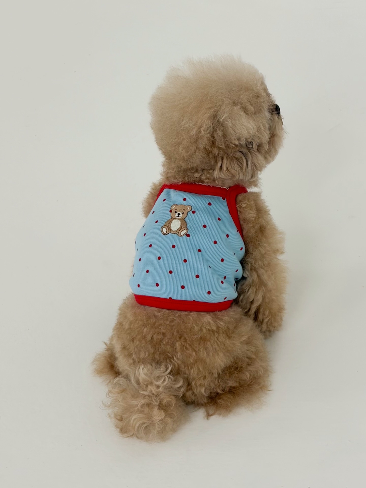 韓國🇰🇷Roody Bear Top