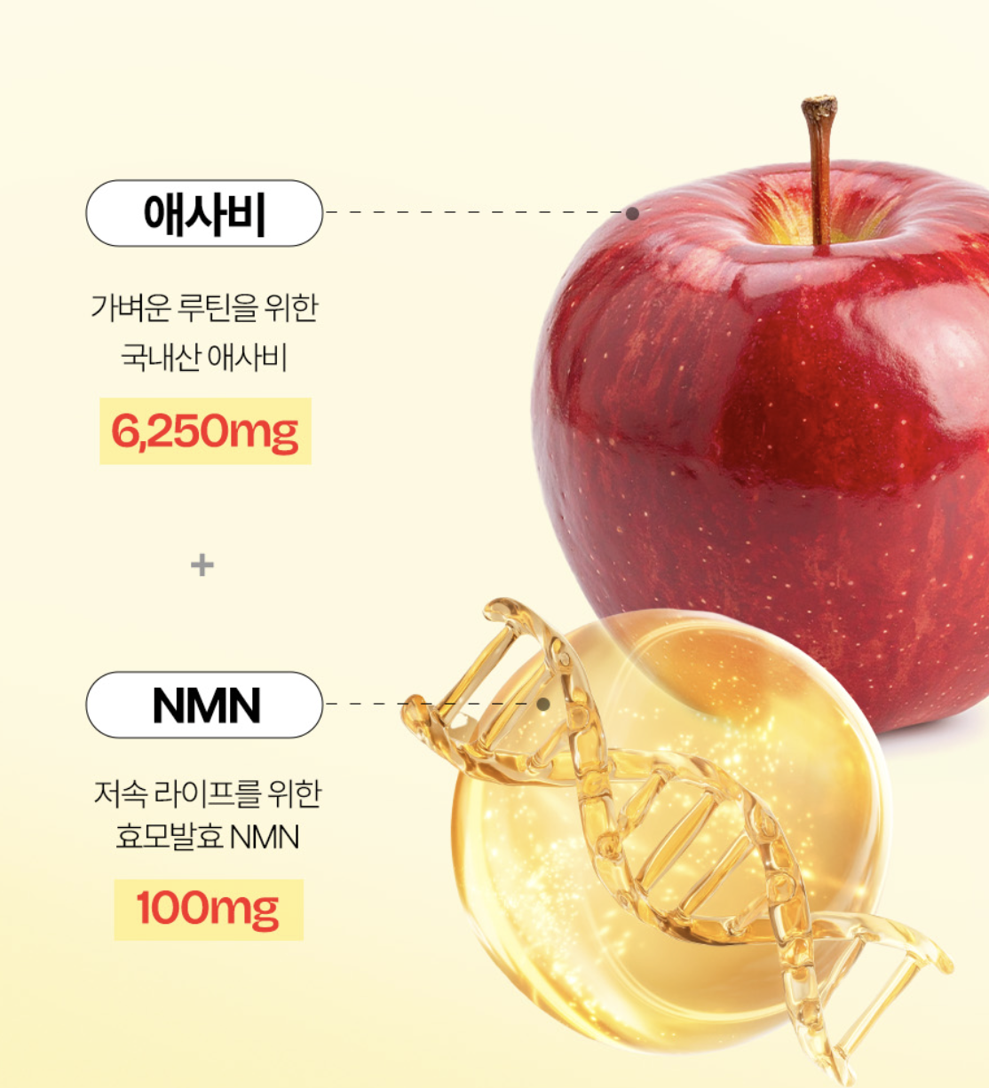 韓國 Foodology 蘋果醋 NMN 輕盈 逆齡 果凍 啫喱條｜Apple Cider Vinegar Jelly