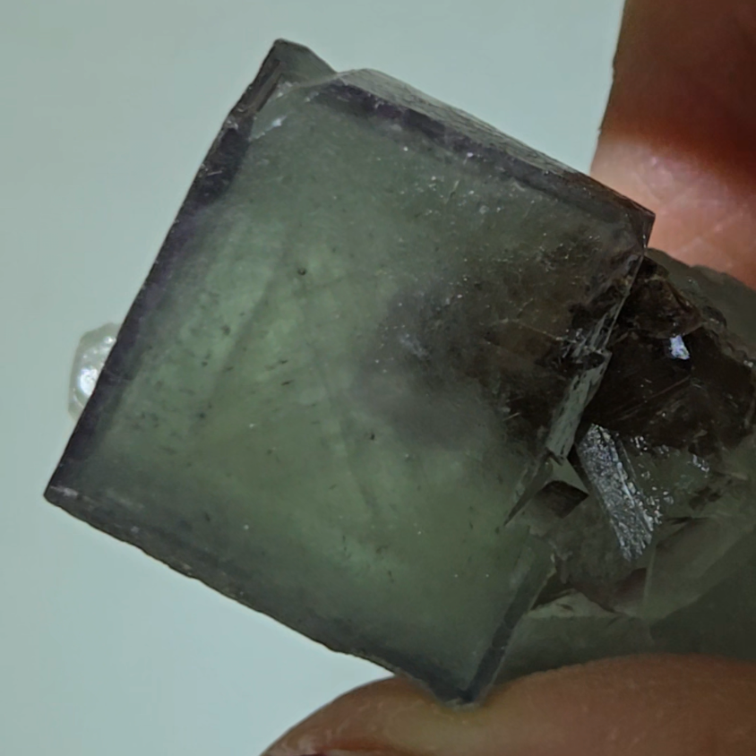 Enhydro cubic fluorite with moving bubble - FL229
