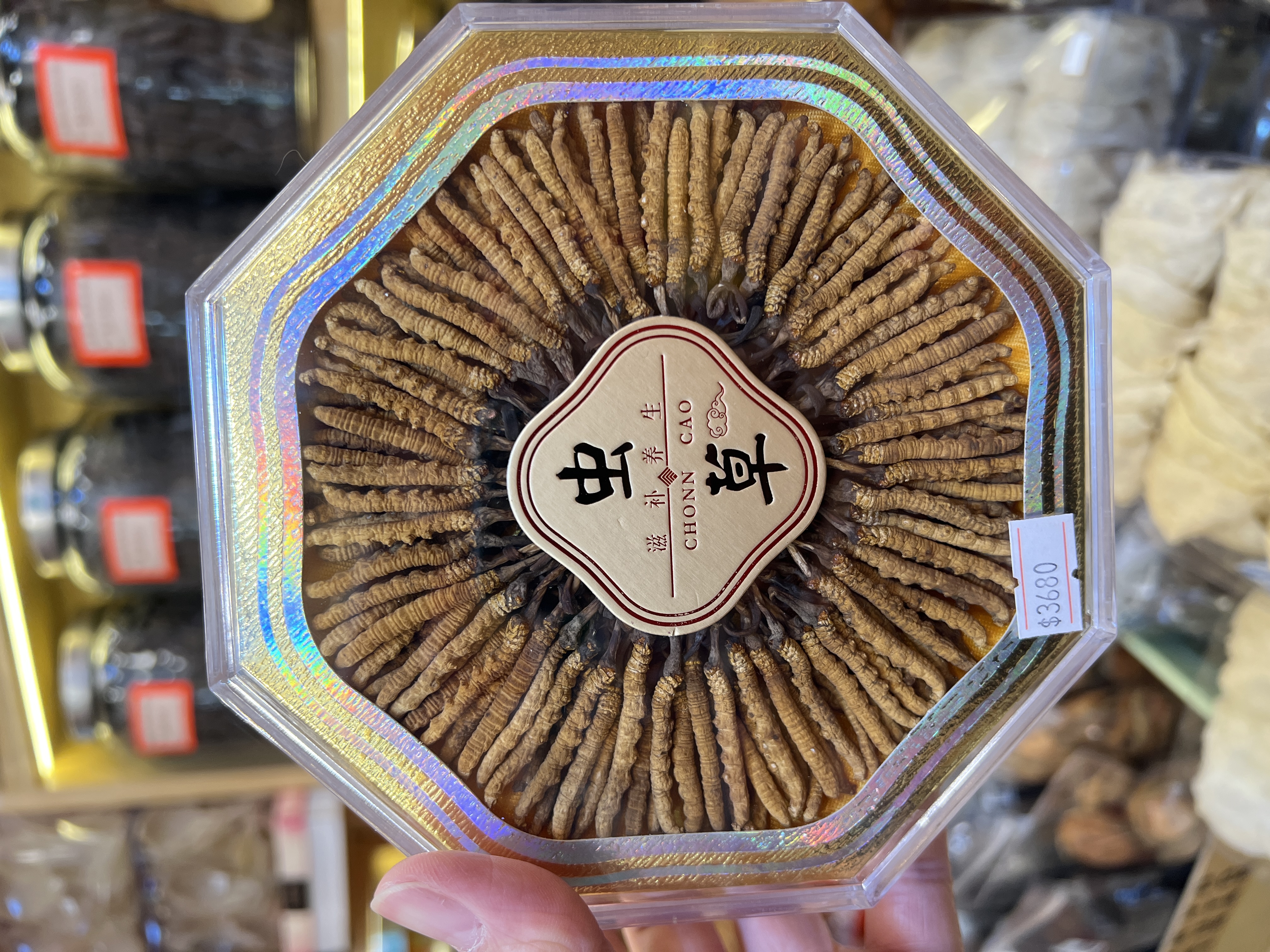 西藏野生那曲冬蟲夏草