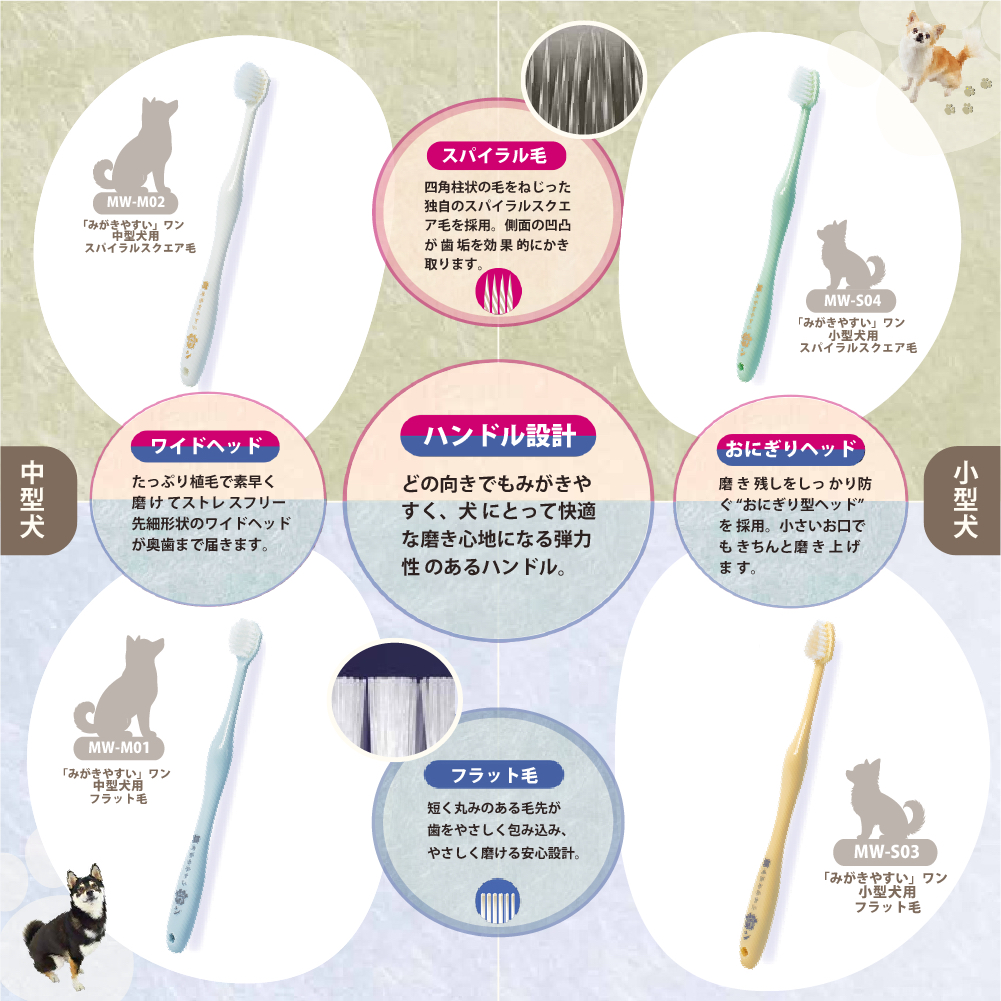 匠🇯🇵螺旋毛牙刷【日本製】