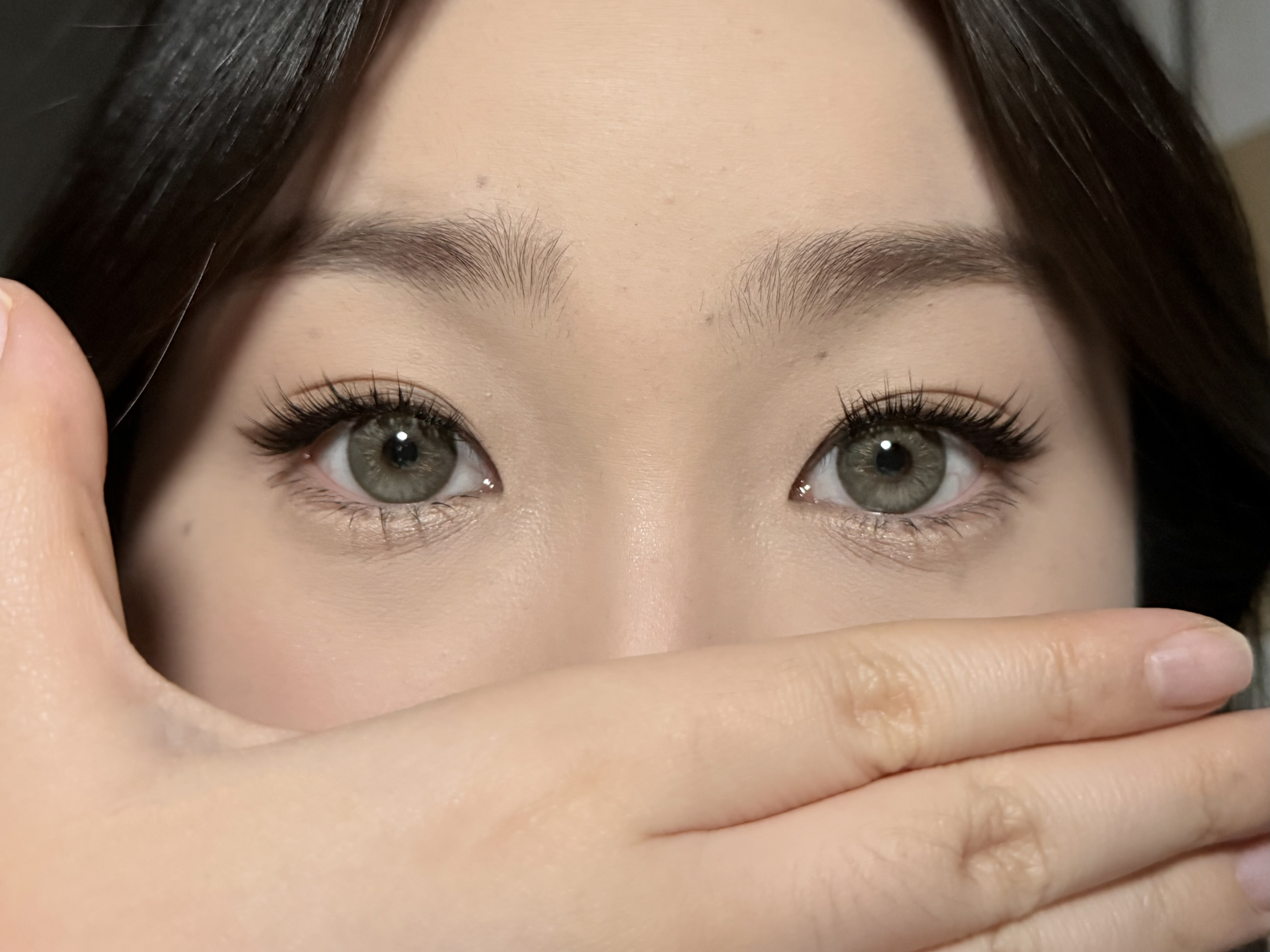 Serltyca 日拋6片裝 未知世界/香檳貓眼