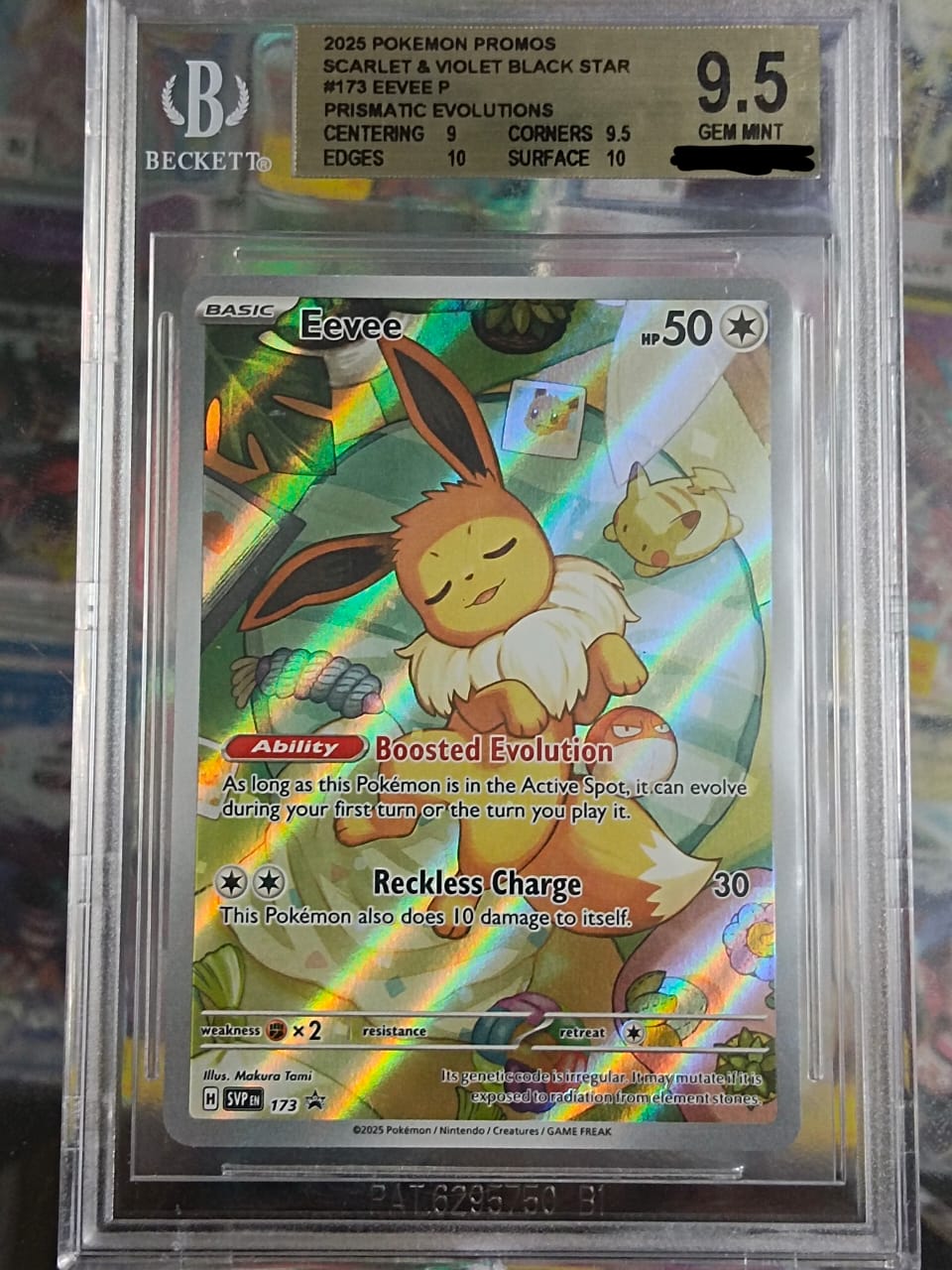 Pokemon TCG - Eevee-173 (BECKET9.5)