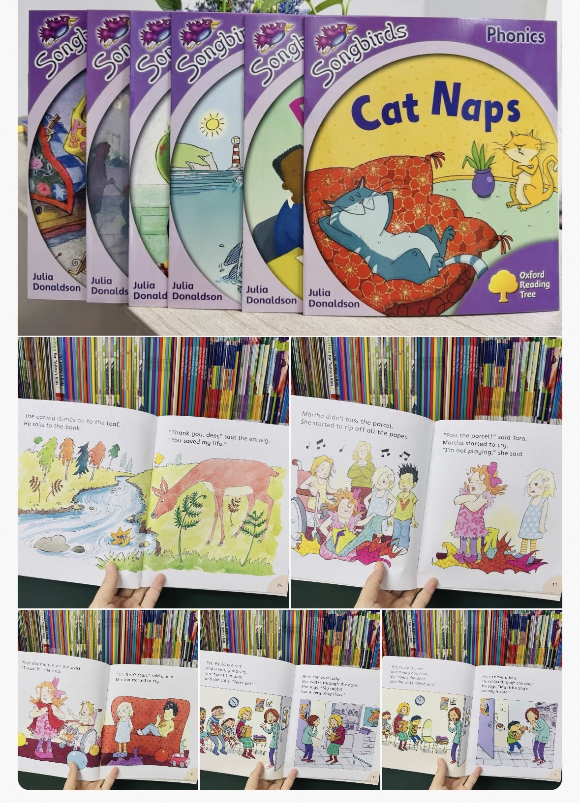 牛津Oxford Songbirds $180/6冊（一階段）