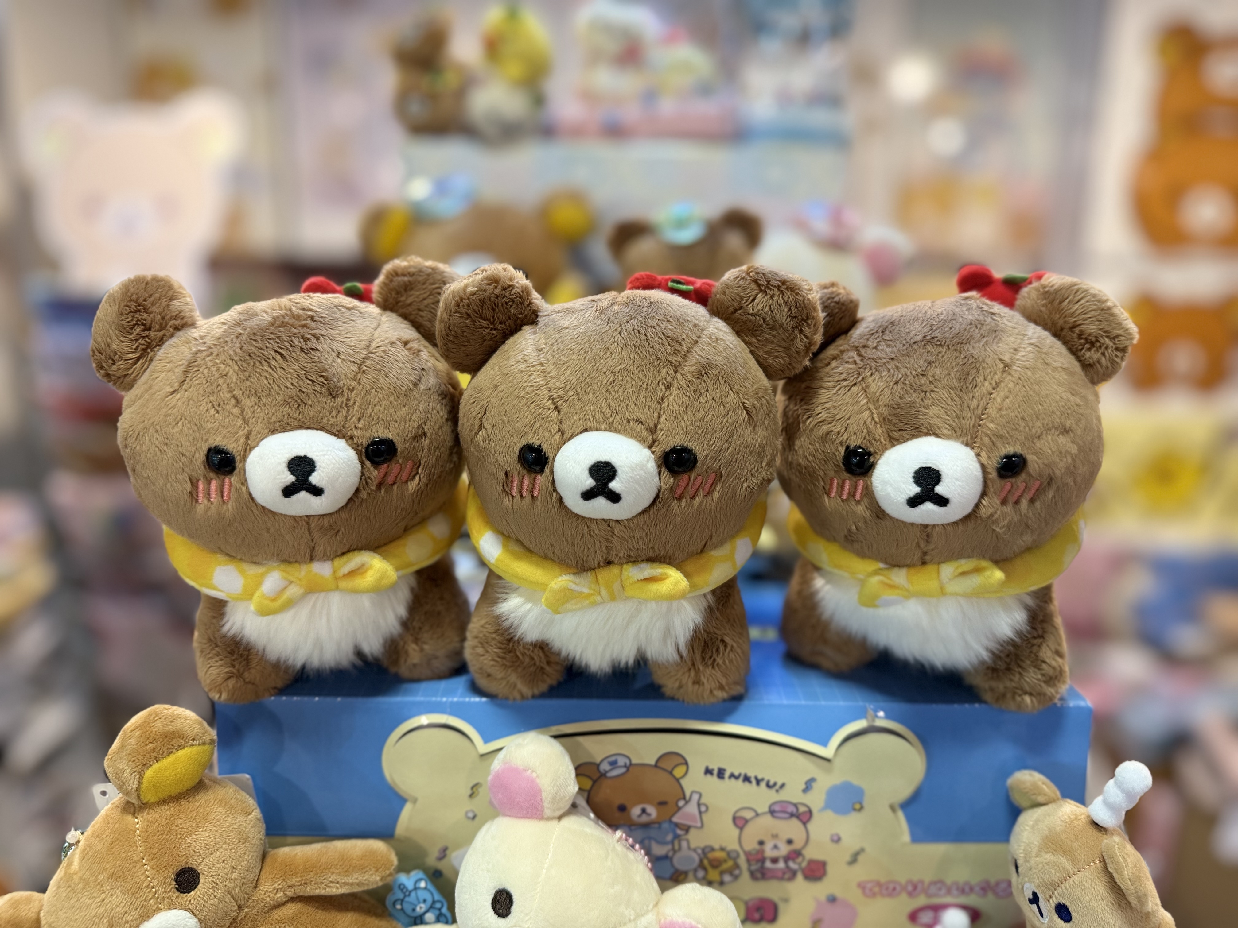 《現貨》全新日本小熊10週年紀念巡迴pop up店限定小熊探險隊系列爬爬公仔