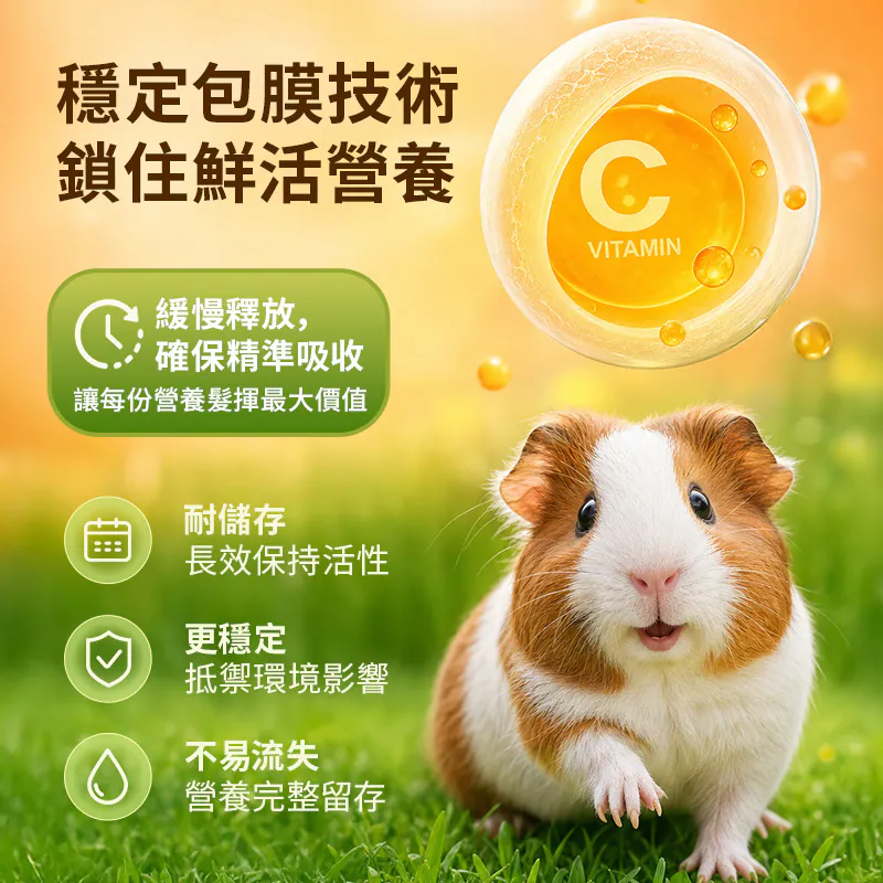 Joy & Fibre 維他命C補充草粒 - 120g