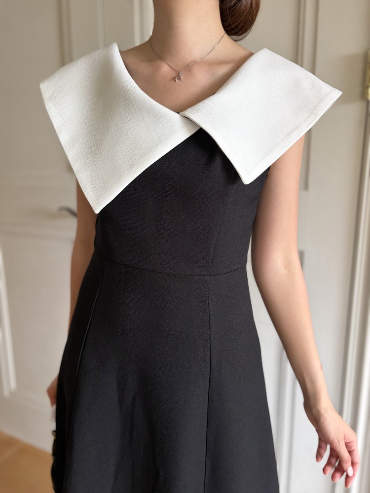 Celine Contrast Collar Dress