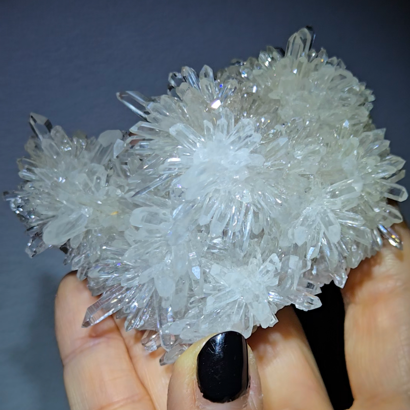 Chrysanthemum needle quartz with floral blooms, rainbows - CQ474