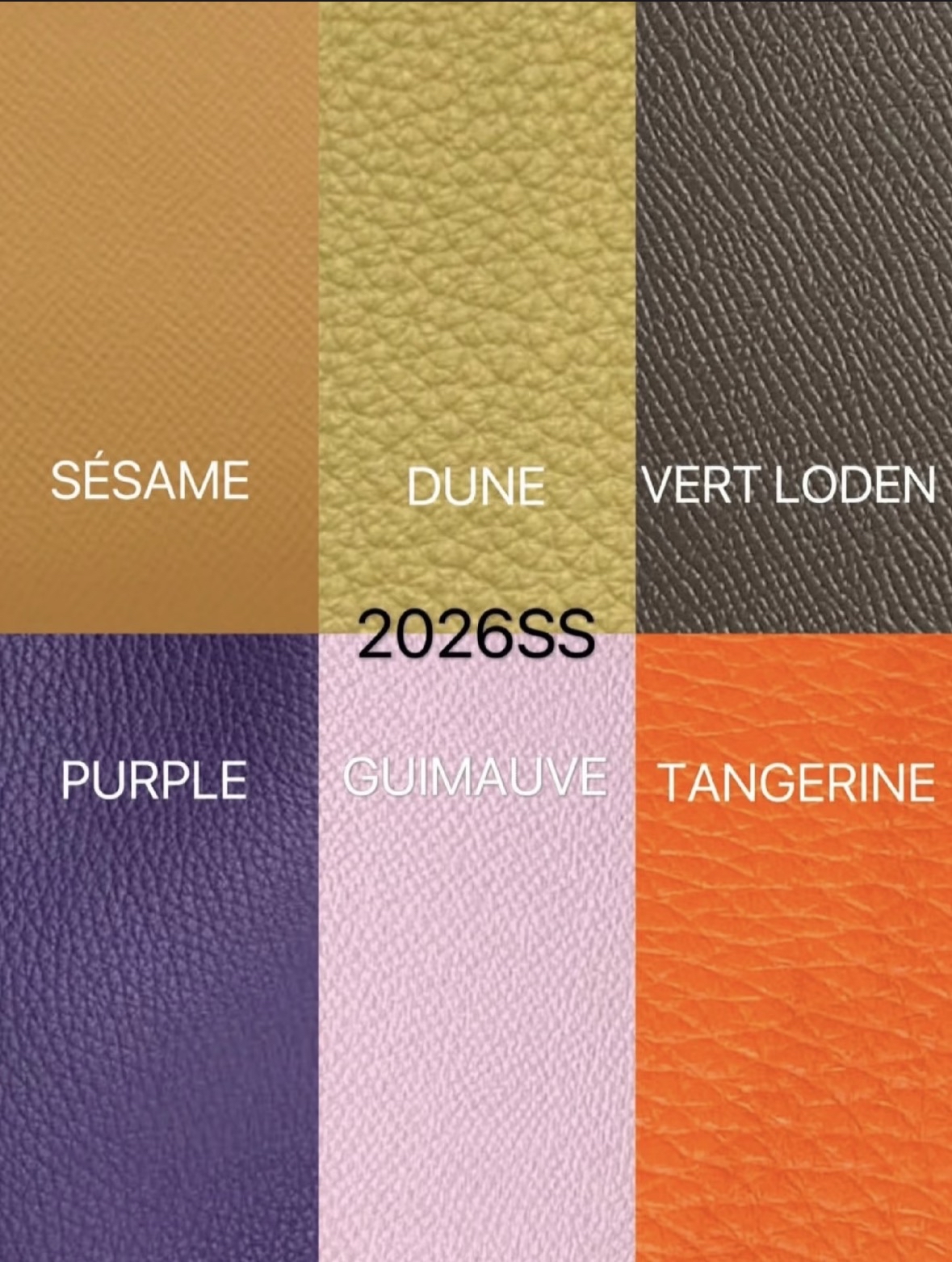 Hermes 全新🆕 Tarmac Epsom皮 Passport Card Holder