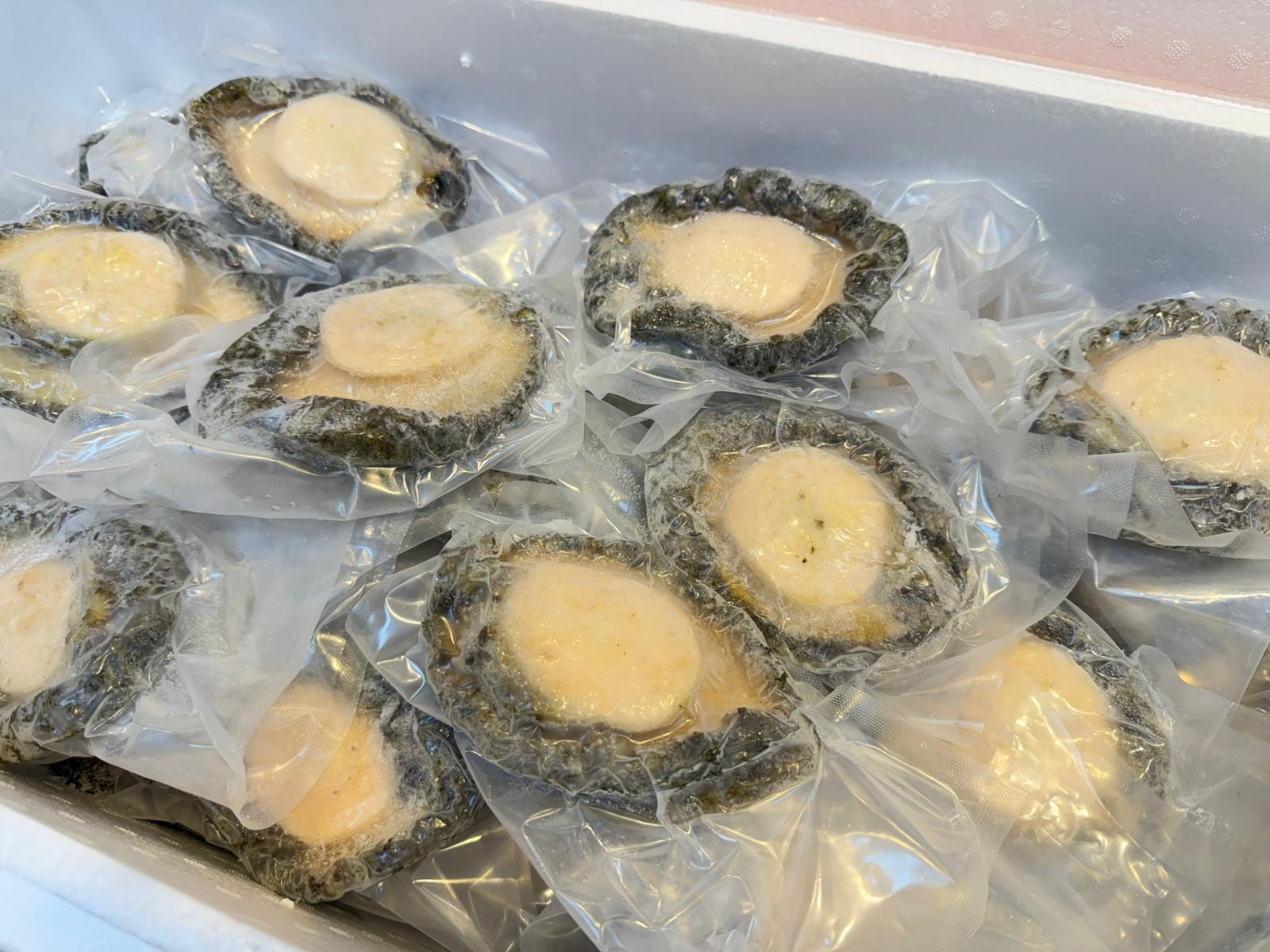 急凍野生南非鮑