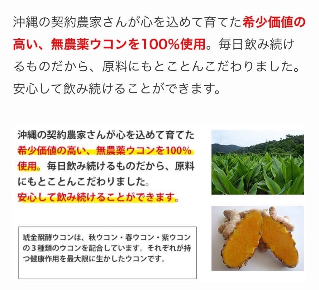 日本Costco直送 日本 沖繩薑黃堂 琥金醗酵 薑黃粒 3種薑黃 無添加 營養補充保健品 超值優惠裝禮盒 (1盒700粒)  