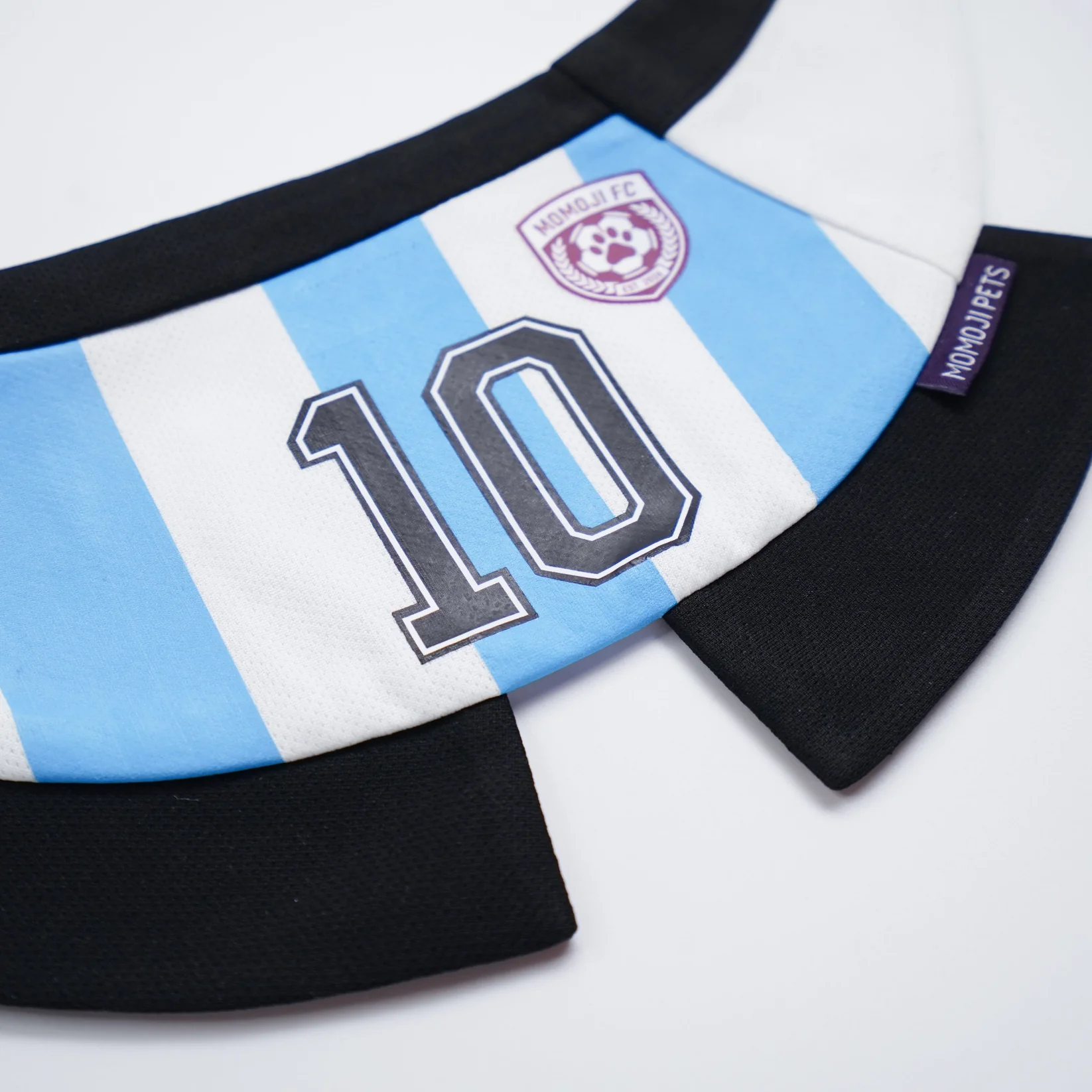 Momoji FC (2-Bueno Aires Stripes) | Pet Neckwear