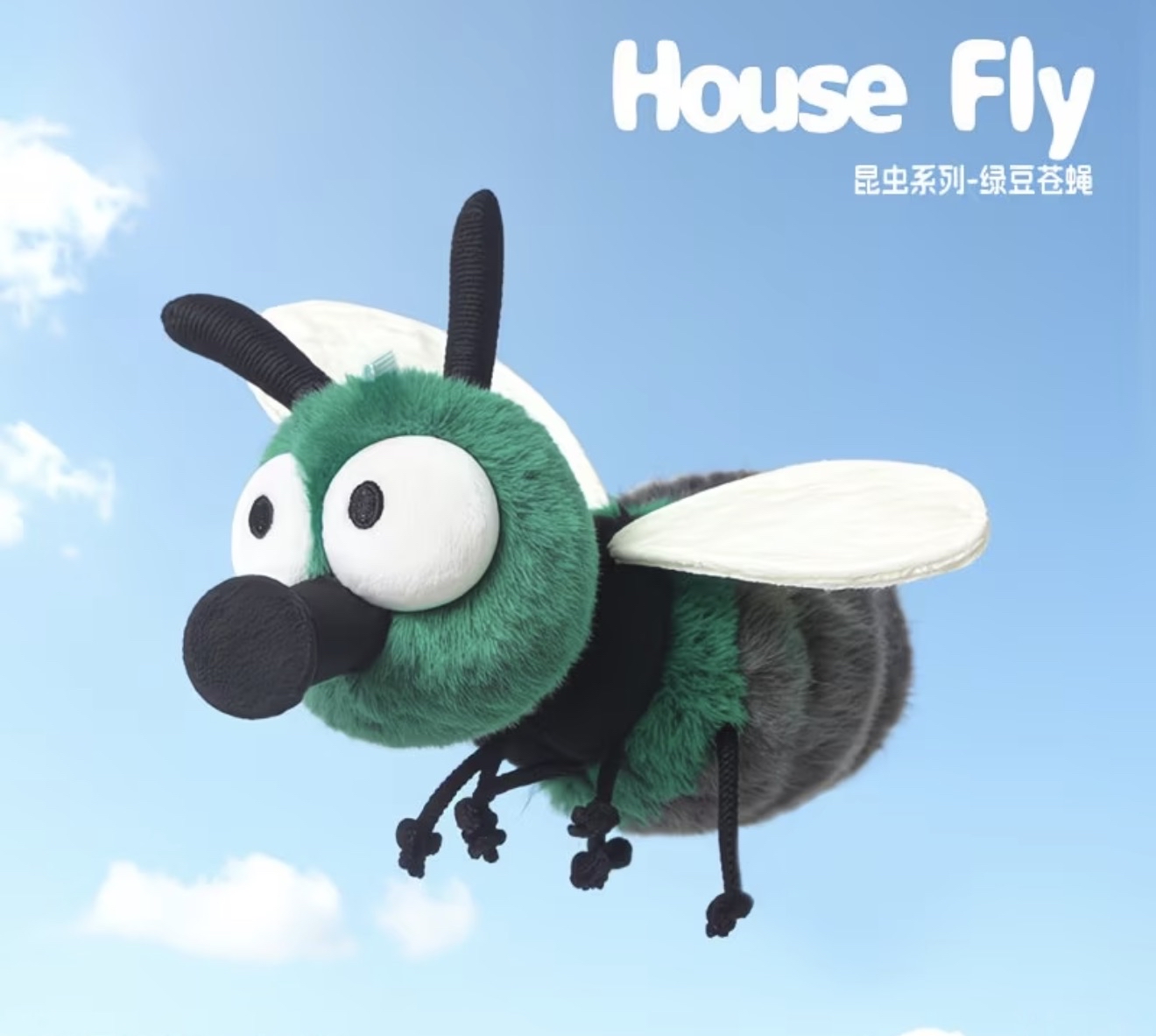 Mung Bean Fly 