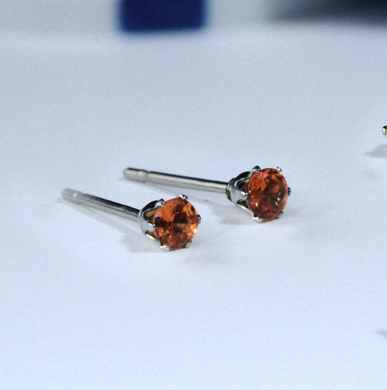 Royal Insight Earring