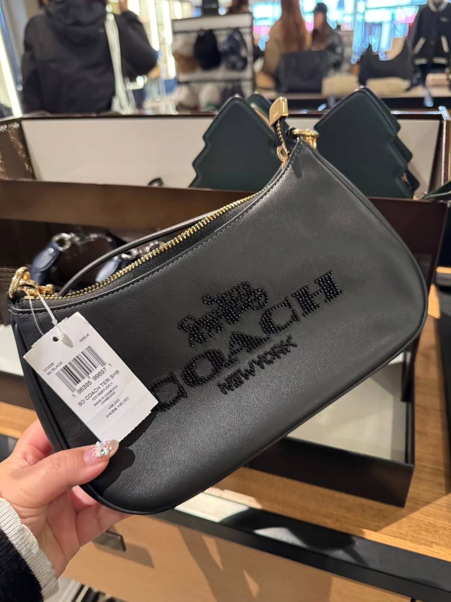 🇯🇵Coach特别版 Teri重工系列