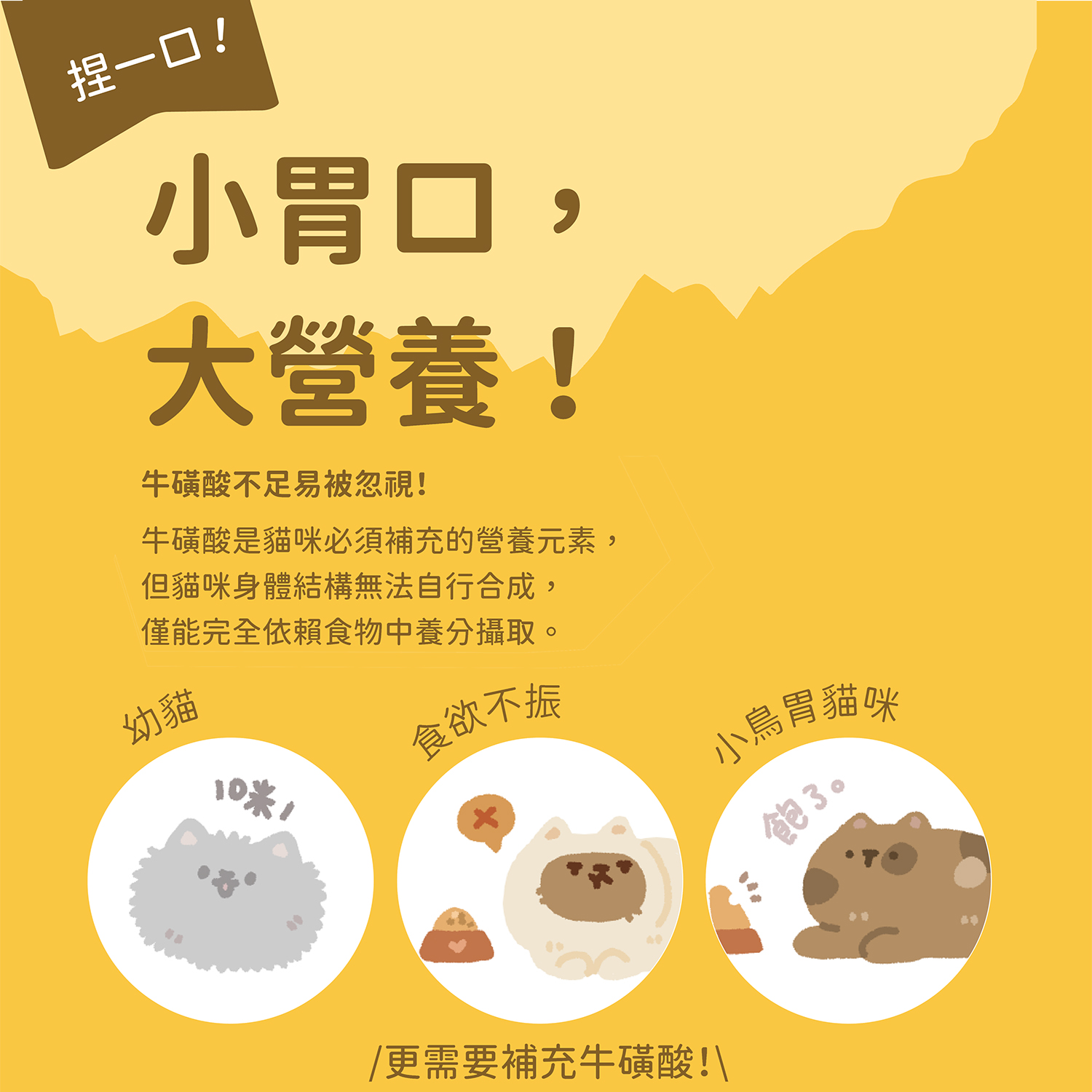 貓有話說｜天然牛磺酸｜捏一口｜Mini主食蒸煮鮮肉泥 16g x 4