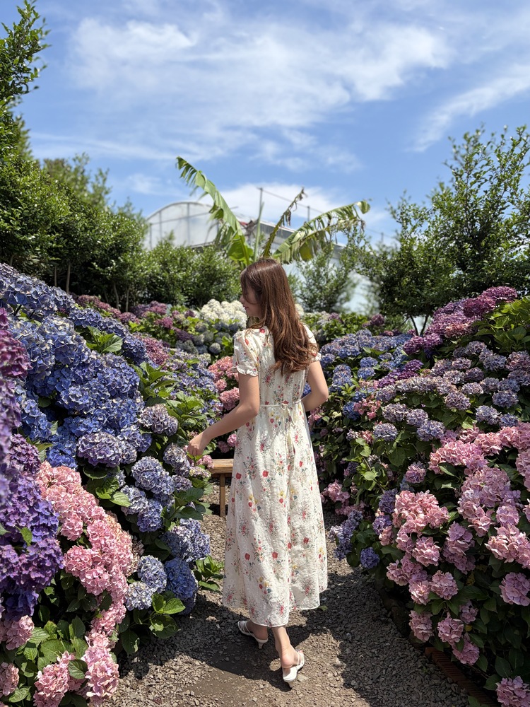 Premium Embroidered Floral Dress
