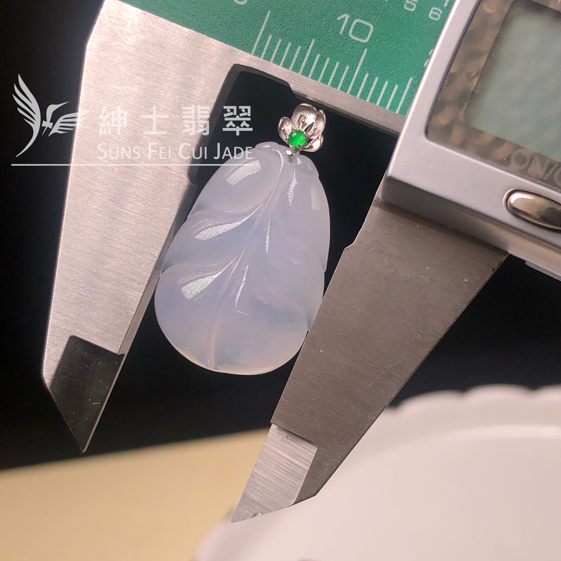 YK01094 冰茄紫玉葉