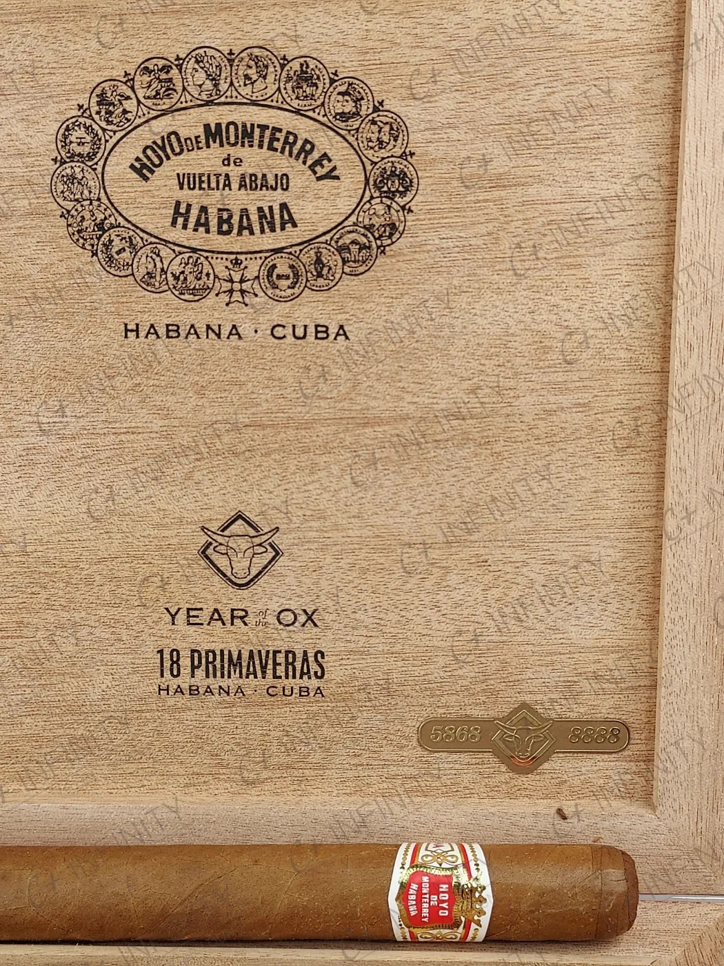 Hoyo de Monterrey Primaveras (Year of The OX | 2020 | PCC) (18'S)