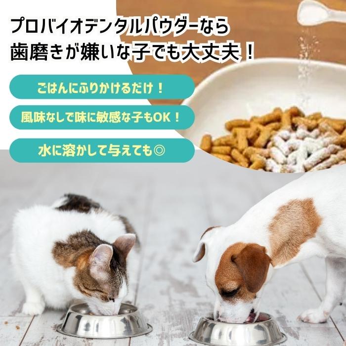 🔥🔥【日本製《PROBIO DENTAL》貓狗專用天然益生菌口腔護理保健粉末】9.8g
