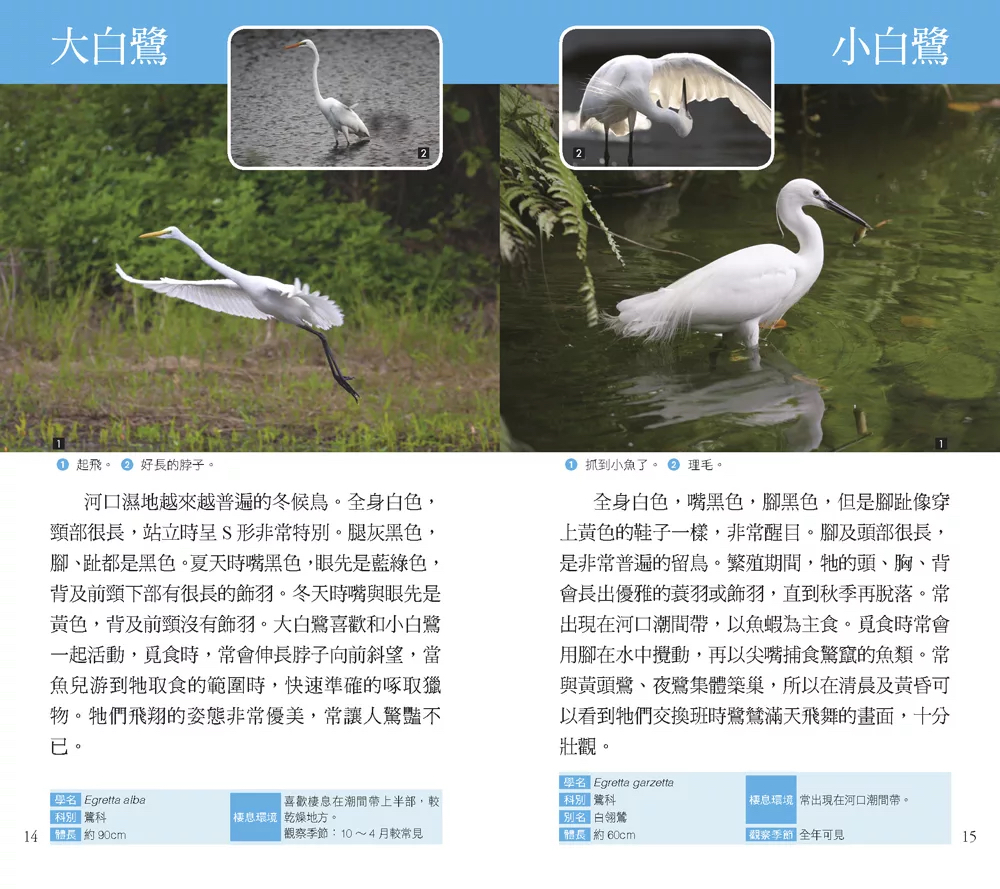 人人 河口：111種河口生物的奧祕