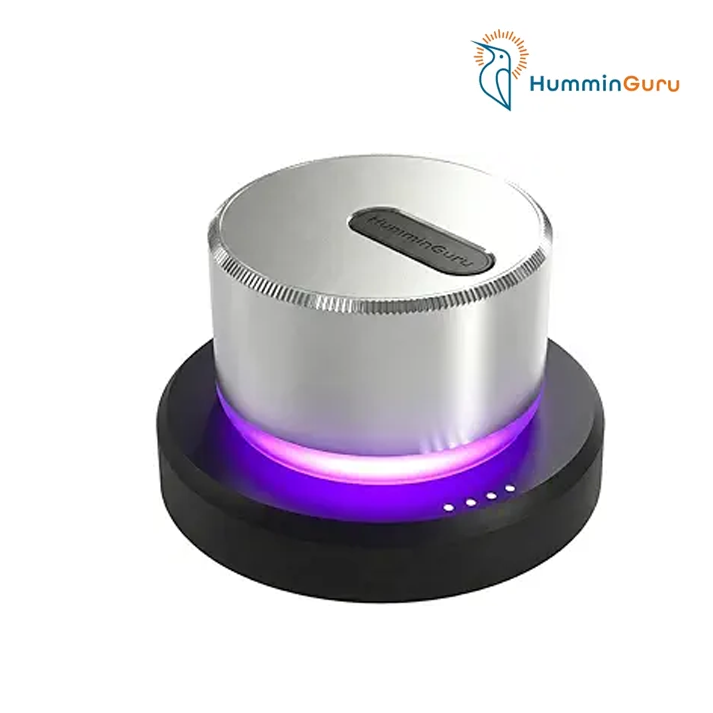 HumminGuru Lumi Record Stabilizer