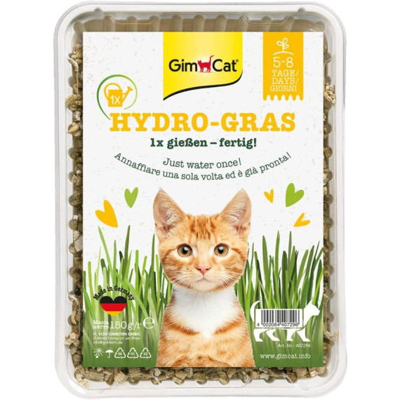 GIMCAT  簡易種植貓草150g 