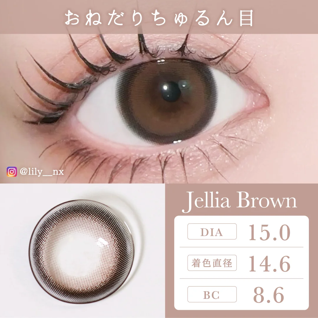 TeAmo - Toric Jellia Brown (1day/10P)