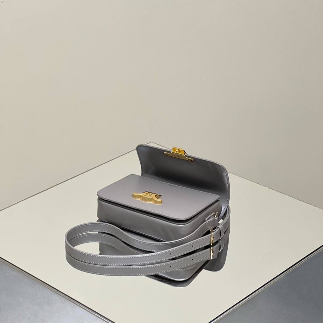 🔥大货实拍图 𝗖𝗘𝗟𝗜𝗡𝗘 ♥ 𝗧𝗘𝗘𝗡 𝗧𝗥𝗜𝗢𝗠𝗣𝗛𝗘 型号：188423 中号尺寸：22.5*16*7cm 小号尺寸：18.5*14*6cm