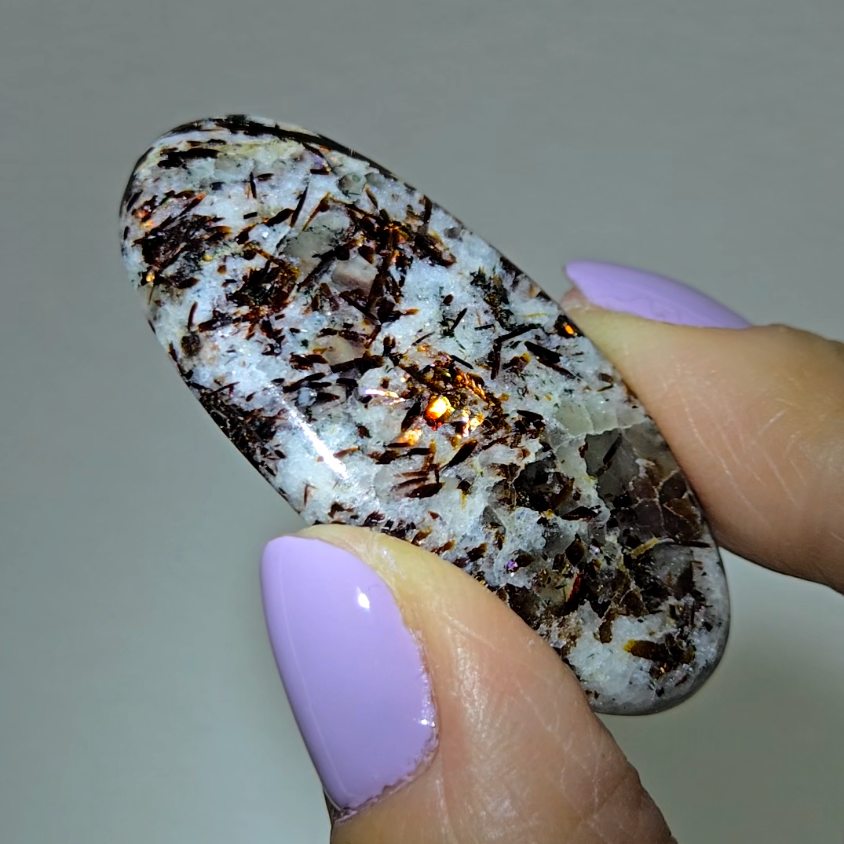 Astrophyllite cabochon with copper-colored inclusions - AST8