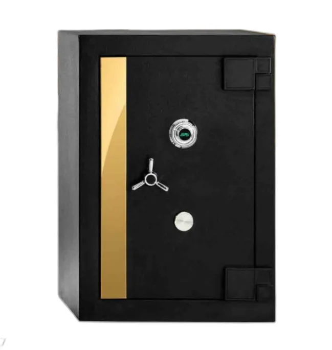 APS Home Safe (SS2)_220kg