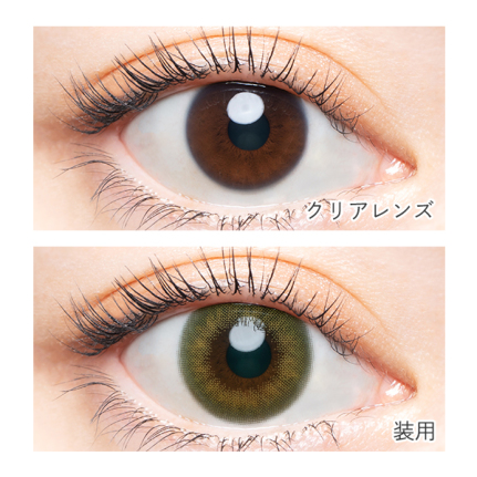 AngelColor Bambi Series - Vintage Pistachio (1day/10P)