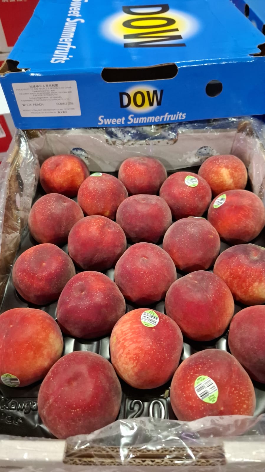 澳洲水蜜桃每份兩個