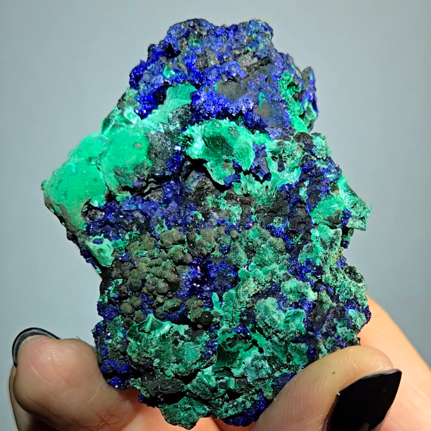 Azurite malachite chrysocolla - AZ26