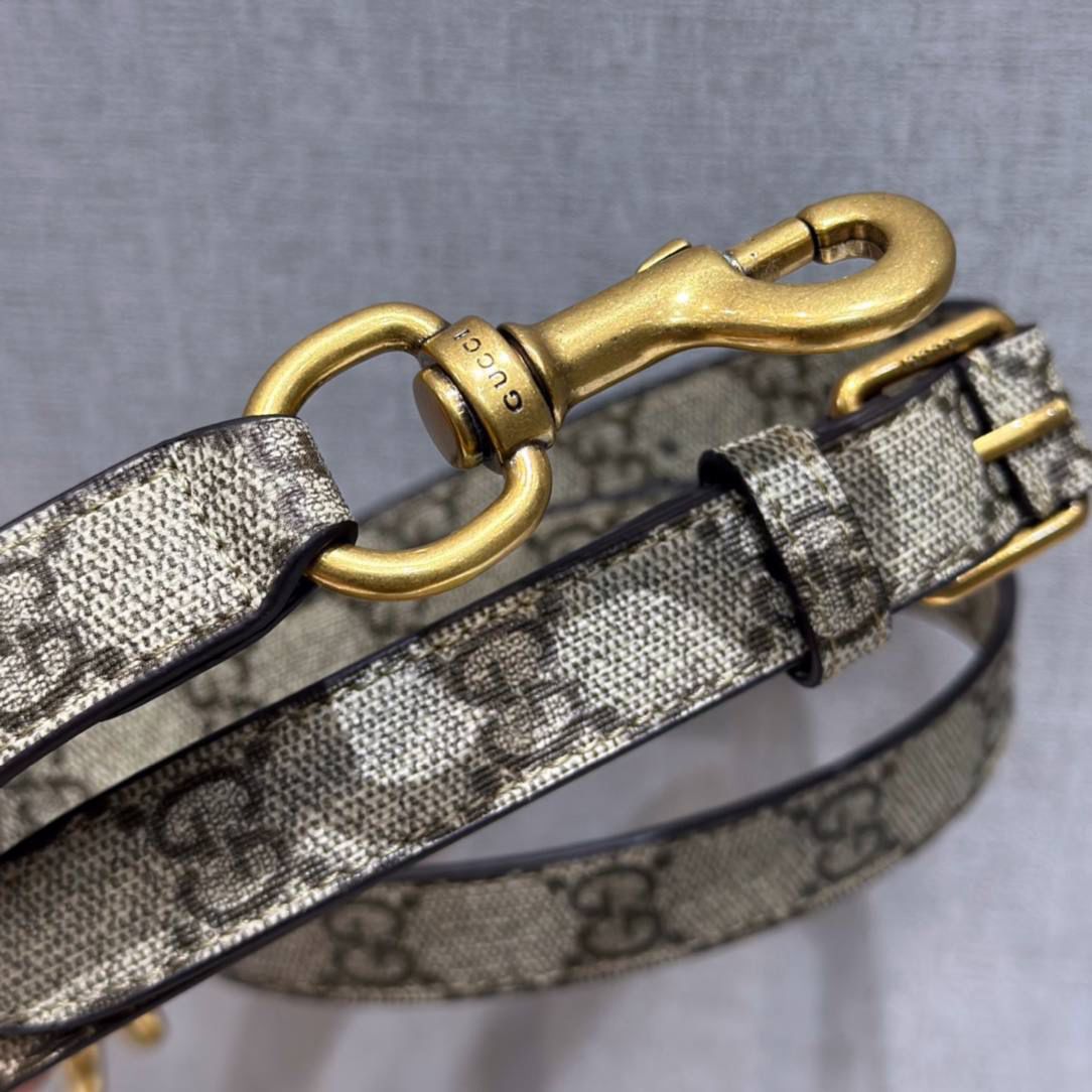 ▪大货实拍 𝐆𝐮𝐜𝐜𝐢 𝟐𝟎𝟐𝟑中国限定款 型号：723762 尺寸：18*10*4.5cm