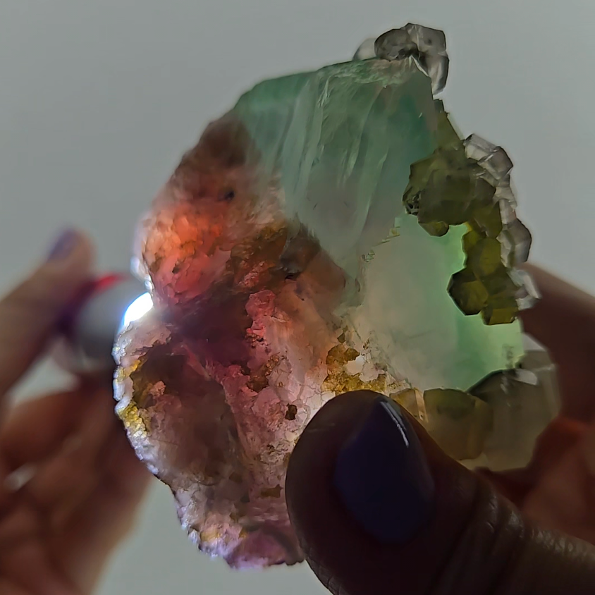 Red phantom fluorite with columnar UV calcite - FL232