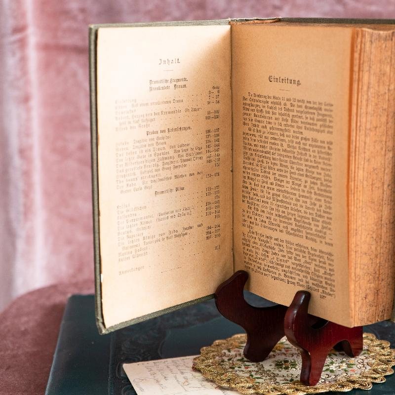 Antique Turn of 20th Century Rich Art Nouveau /Art Deco Graphic Franz Grillparzer's German Book Set of 2 (MW117)