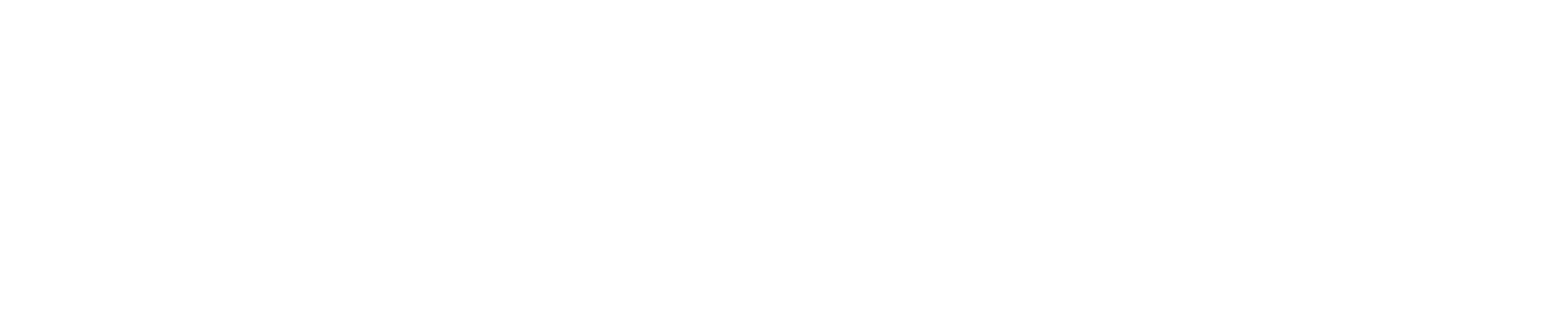 Boutir Demo