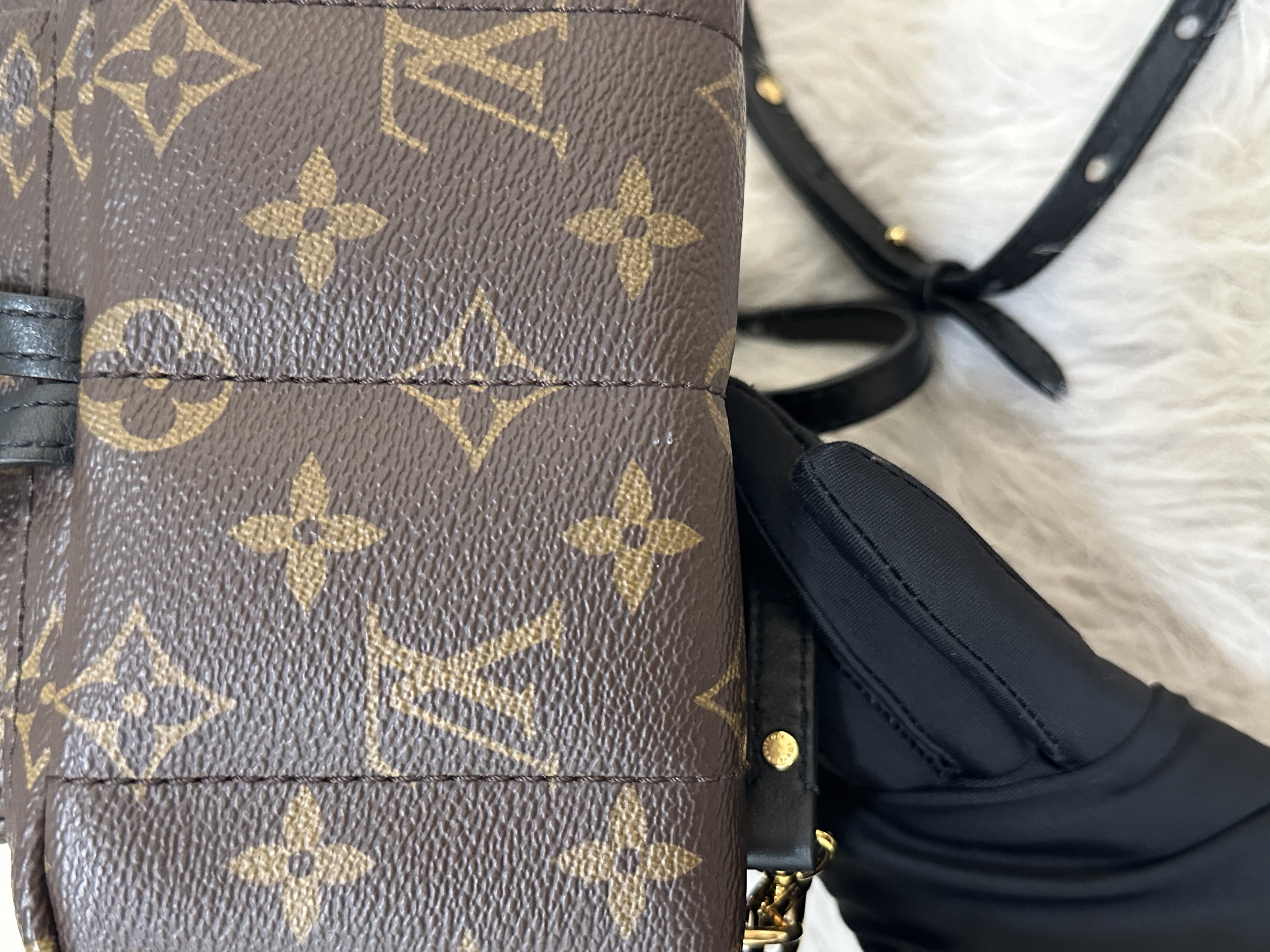 Pre-owned Louis Vuitton Monogram Palm Springs Backpack /26NY10